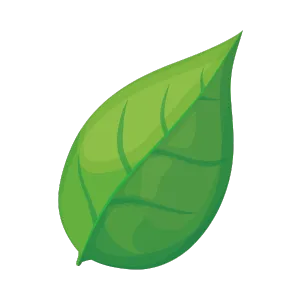 Green leaf graphic. Leaf illustration for tree care in Southlake, TX. Healthy leaves indicate proper lawn maintenance and tree health.